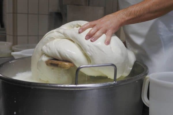 Fare la mozzarella pugliese 1500x1000