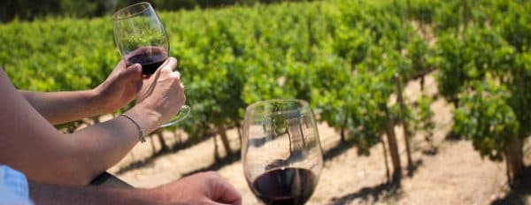 Happy in Tuscany Wine Tour Copertina 1