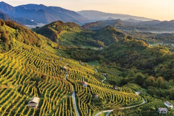 Prosecco Superiore Hero Conegliano Valdobbiandene Credit Arcangelo Piai 1920x1280