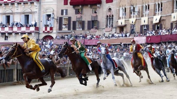 palio di siena race horses in piazze del campo