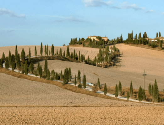 Crete Senesi