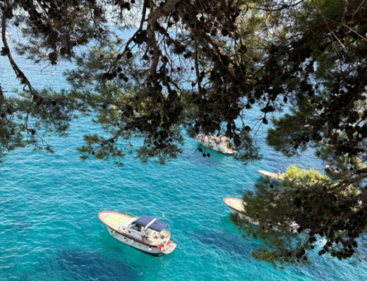 boat tour  coast