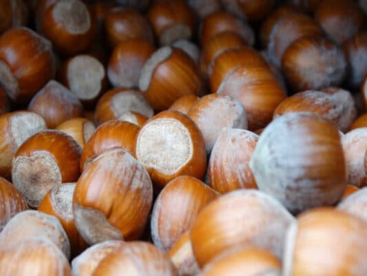 corso di pasticceria