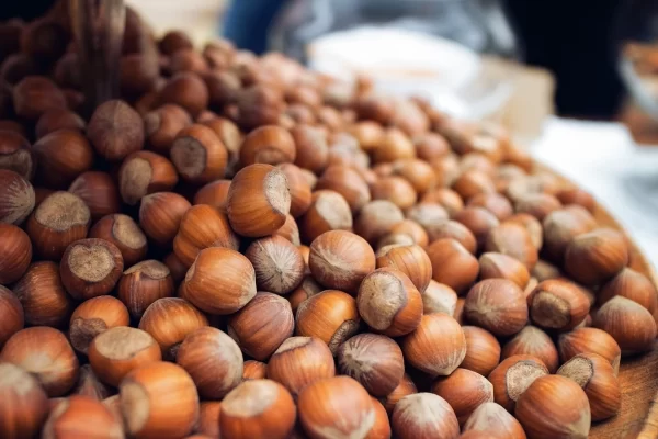 langhe hills piedmont private luxury pastry workshop hazelnuts