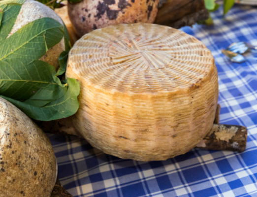 pecorino
