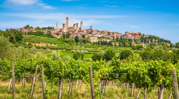 vernaccia san gimignano