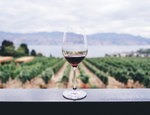 wine Sagrantino