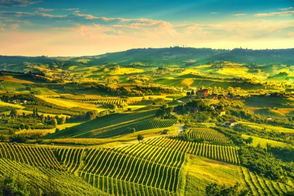 barolo piedmont private tour vineyards hills landscape
