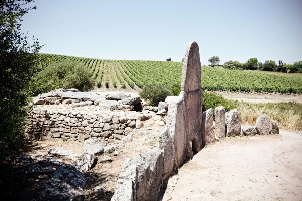 costa smeralda sardinia private tour nuraghe ancient site vineyard