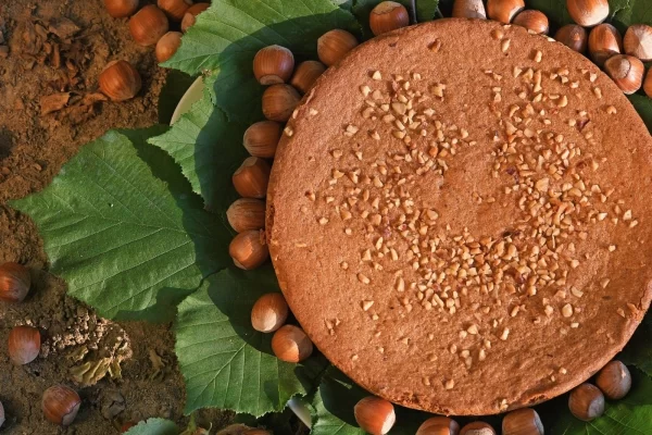 langhe hills piedmont luxury tour hazelnut cake hazelnuts