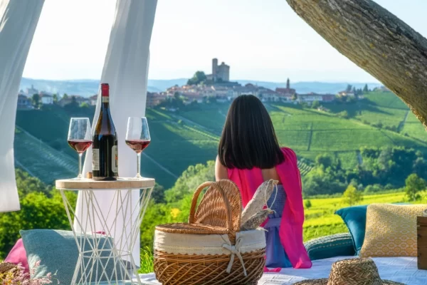 langhe hills piedmont luxury tour private tour picnic vineyards castle