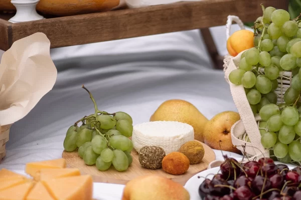 langhe hills piedmont private luxury picnic spread grapes cheese fruit