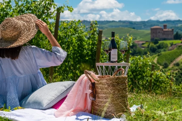 langhe hills piedmont private luxury picnic vineyard barolo wine castle