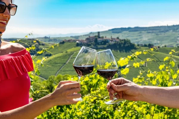 langhe hills piedmont private luxury tour wine toast vineyards