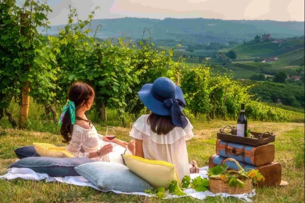 langhe hills piedmont private tour luxury picnic vineyard wine