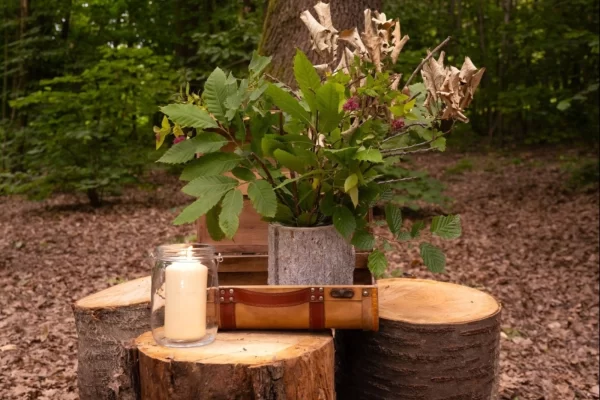 langhe piedmont luxury tour private tour forest decor tree stumps candle