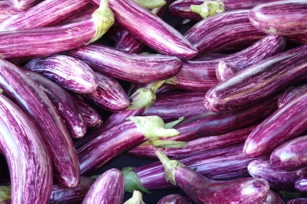 mount etna private tour striped eggplants