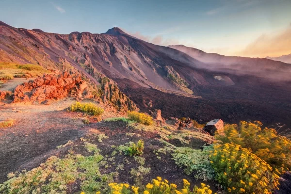 mount etna private tour volcanic landscape flowers sunset