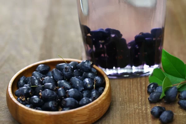 sardinia private tour myrtle berries mirto