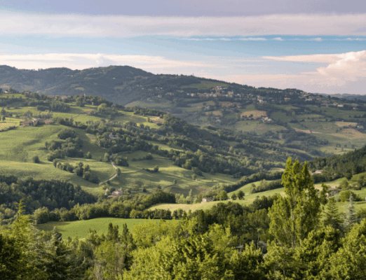 Food Valley