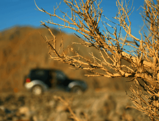 Jeep tour