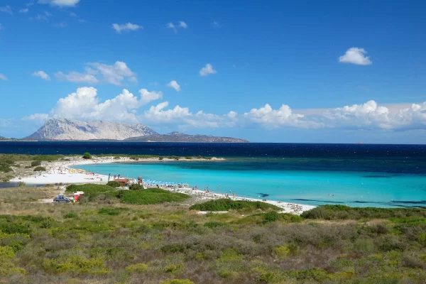 monte nieddu sardinia private tour 4x4 adventure tavolara island white sand beach turquoise sea
