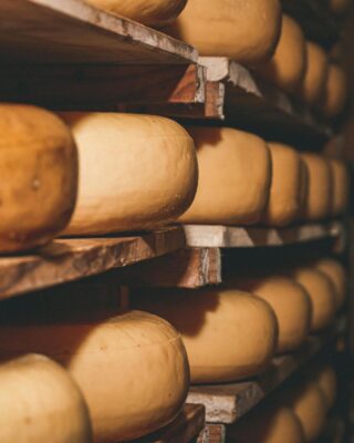 Traditional Cheese Wheels Aging on Wooden Shelves