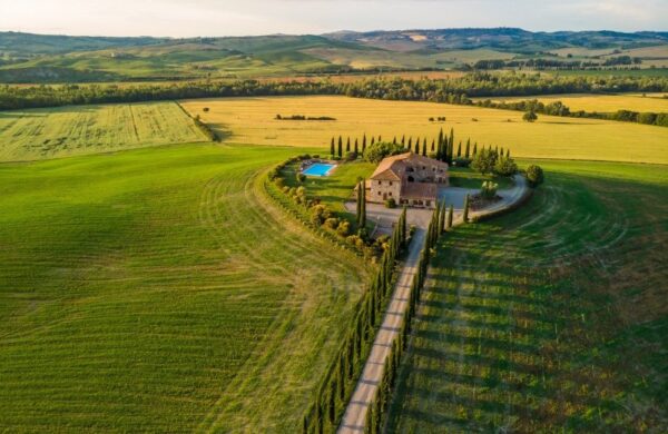landscape scenery of Tuscany cypress trees along white road