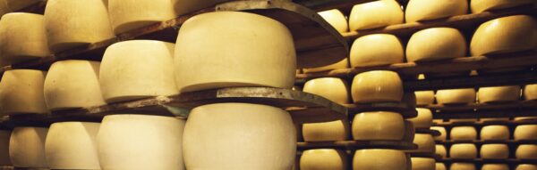 parmigiano reggiano